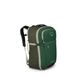 Рюкзак Osprey Daylite Carry-On Travel Pack 44 Green Canopy/Green Creek, O/S (009.3440)
